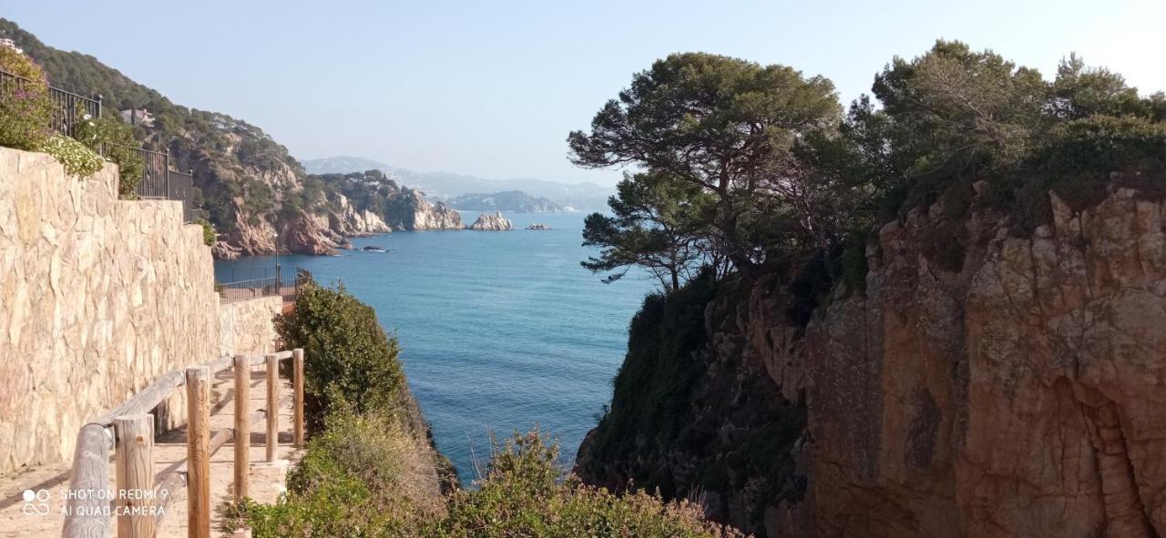 Villa Blanca 10 Minutos De La Playa Costa Brava Massanet De La Selva Экстерьер фото